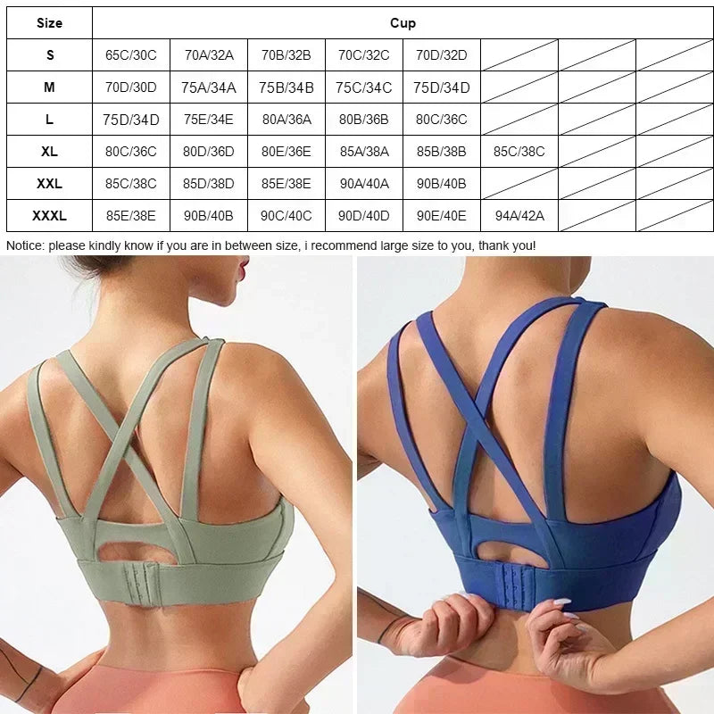 Push up Sports Bra for Women